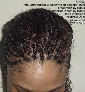Individual Medium Treebraids, Top139.
