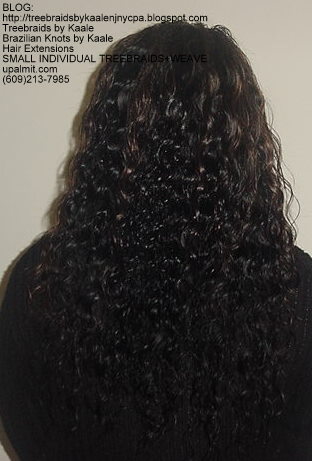 MicroSmall Individual Treebraids with hair extensions in back Back2144.