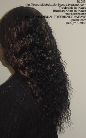 MicroSmall Individual Treebraids with hair extensions in back Left2145.