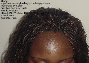 MicroSmall Individual Treebraids with hair extensions in back Top2147.
