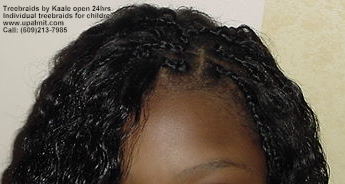 Individual treebraids 7.