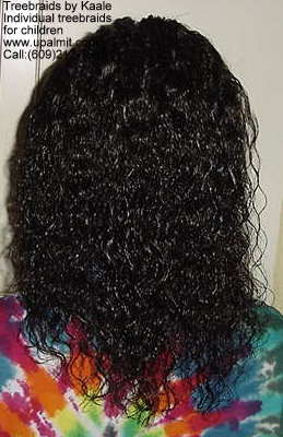 Individual treebraids 6.