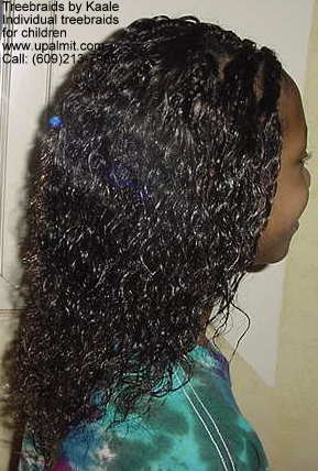 Individual treebraids 5.