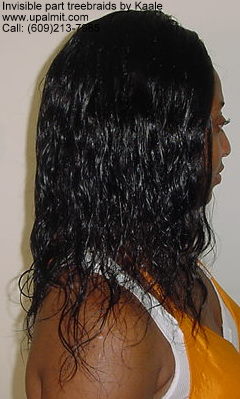 Wet and wavy treebraids with invisible part.