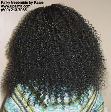 Treebraids- kinky treebraids back view.