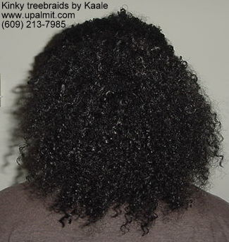 Treebraids- kinky treebraids with bun, back view.
