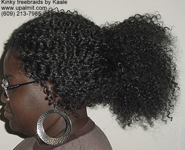 Treebraids- kinky treebraids with bun, side view.