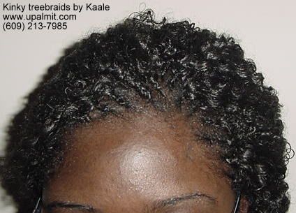 Treebraids- kinky treebraids with bun, top view.