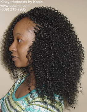 Treebraids- kinky treebraids left view.