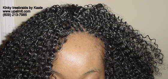 Treebraids- kinky treebraids top view.