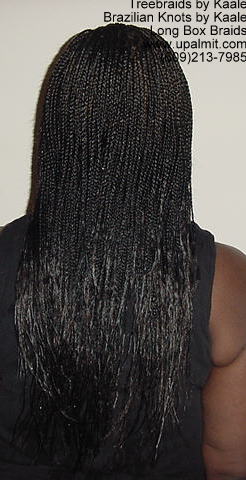 Long Box Braids in NJ, Back400.