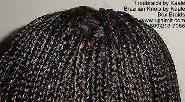 Long Box Braids in NJ, BackUp400.