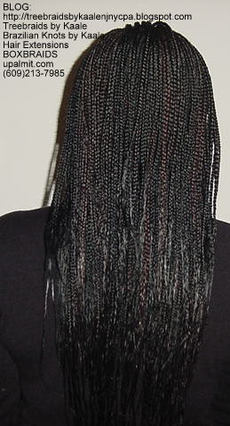 Long Box Braids in NJ, Back.