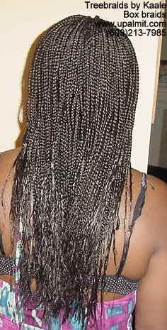 Long Box Braids in NJ, Back view.