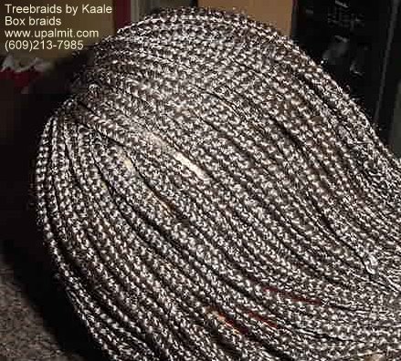 Long Box Braids in NJ, Back2 view.