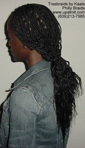 Box braids, Left4 img81.