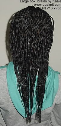 Large Box Braids, NJ.