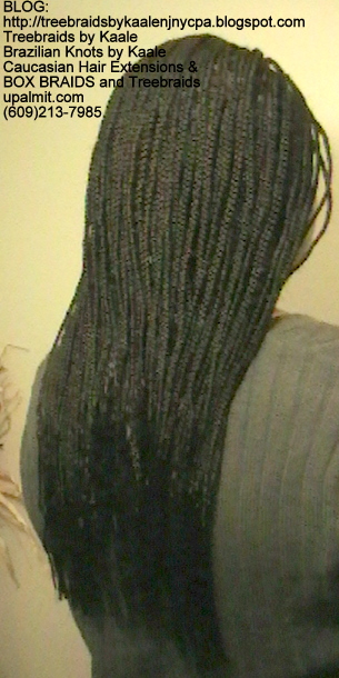 Box Braids with Xpressions Back224.