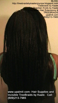 Long Box Braids with Treebraids on top in NJ, Back.