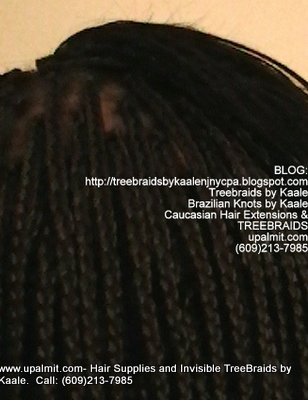 Long Box Braids with Treebraids on top in NJ, Back.