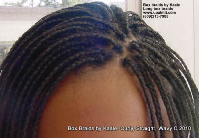 Long box braids, top view, by Kaales African Hair Braiding.