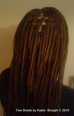 Box braids White Back2 20.