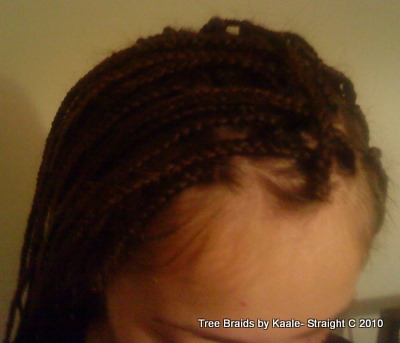 Box braids White Right Close Up 20.