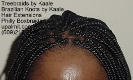 Long, large Boxbraids- Philly Boxbraids 412.