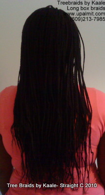Box braids, Back 4.