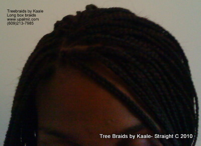 Box braids, top view 6.