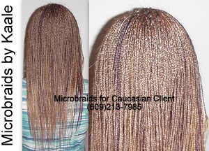Microbraids and Treebraids by Kaale, Back99.