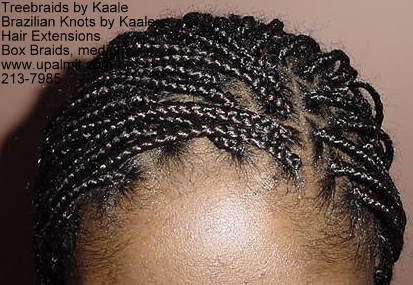 Medium Boxbraids in NJ, T402.