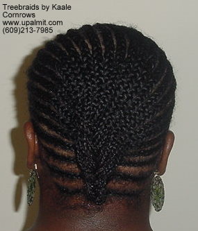 Treebraids by Kaale- Cornrows, Back.