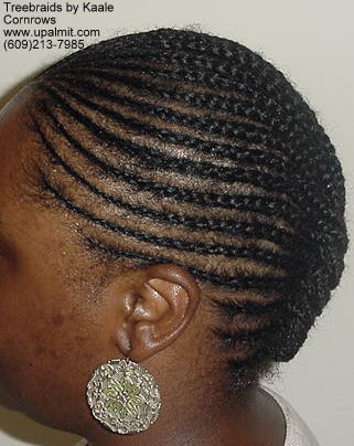 Treebraids by Kaale- Cornrows, Left111.