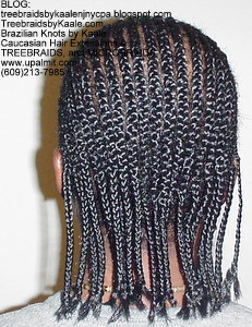 Treebraids by Kaale- Cornrows, Medium- Back102.