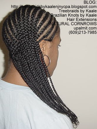 Treebraids by Kaale- Cornrows, Medium- Back100.