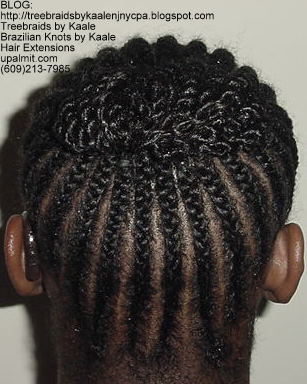 Treebraids by Kaale- Cornrows, Medium- Back100.