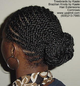 Treebraids by Kaale- Cornrows, Right 112 L.