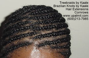 Treebraids by Kaale- Cornrows, T112.