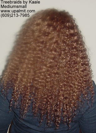 Wavy Tree Braids- Mediumsmall, 104c Bk.