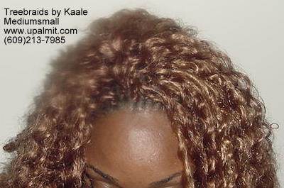 Wavy Tree Braids- Mediumsmall, 104a Top.