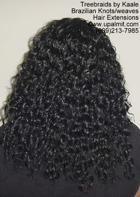 Wavy Tree Braids- Mediumsmall, 105aBk.