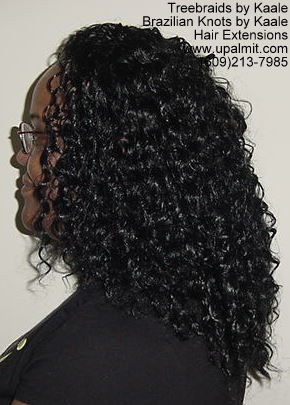 Wavy Tree Braids- Mediumsmall, 105aL.