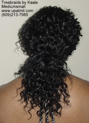 Curly Tree Braids- Mediumsmall 5.