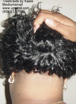 Curly Tree Braids- Mediumsmall 4.