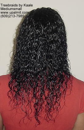 Wavy Tree Braids- Mediumsmall, Bk200.