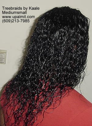 Wavy Tree Braids- Mediumsmall, Right201.