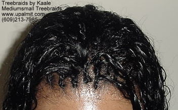 Wavy Tree Braids- Mediumsmall, Top203.