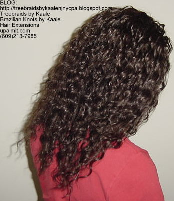 Curly Tree Braids, Right91.