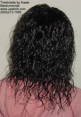 Tree Braids- Top.